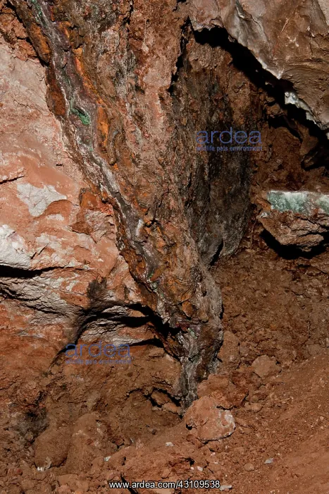 : Veins of Copper : Veins of Copper