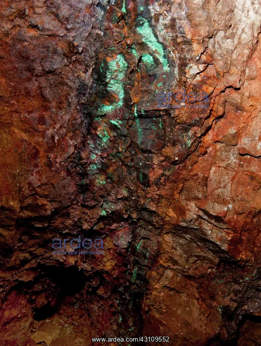 : Veins of Copper : Veins of Copper