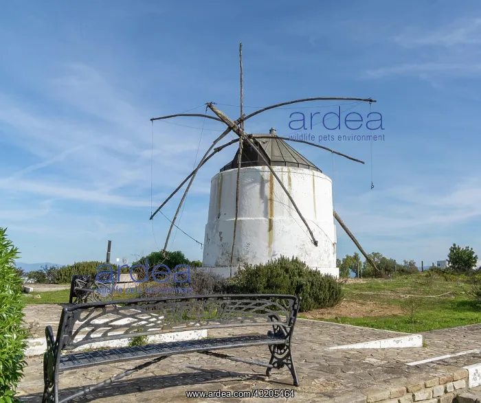: Vejer de la Frontera, Spain - 17 January, 2021: : Vejer de la Frontera, Spain - 17 January, 2021: