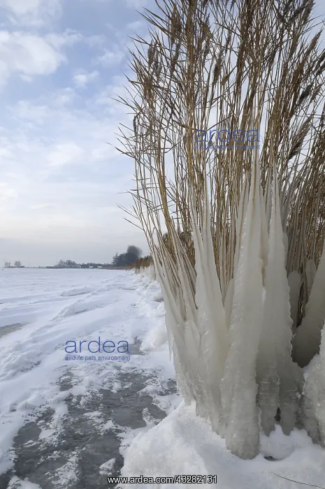  : veluwemeer
