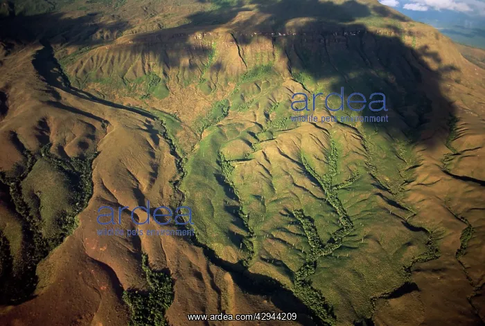 : Venezuela aerials of Tepuis : Venezuela aerials of Tepuis