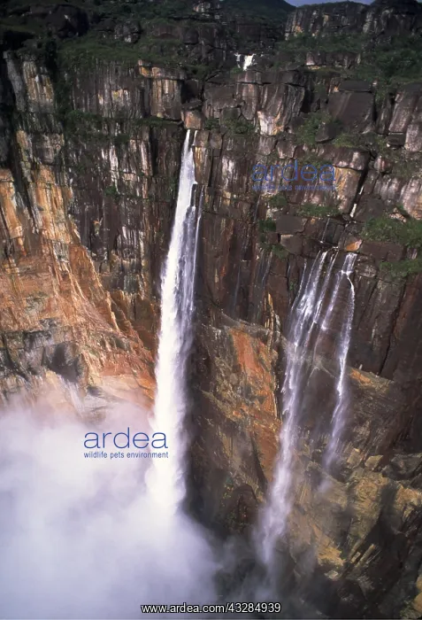 : VENEZUELA - ANGEL FALLS, the World's tallest waterfall : VENEZUELA - ANGEL FALLS, the World's tallest waterfall