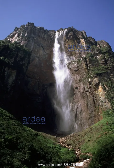 : VENEZUELA - ANGEL FALLS The World's tallest waterfall : VENEZUELA - ANGEL FALLS The World's tallest waterfall