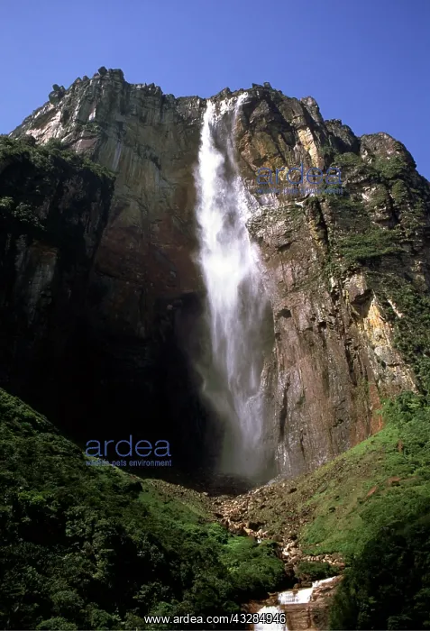 : VENEZUELA - ANGEL FALLS The World's tallest waterfall : VENEZUELA - ANGEL FALLS The World's tallest waterfall