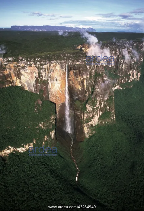: VENEZUELA - ANGEL FALLS, the World's tallest waterfall : VENEZUELA - ANGEL FALLS, the World's tallest waterfall