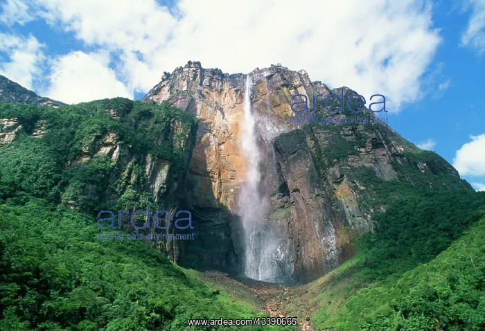 : VENEZUELA - ANGEL FALLS, the World's tallest waterfall : VENEZUELA - ANGEL FALLS, the World's tallest waterfall