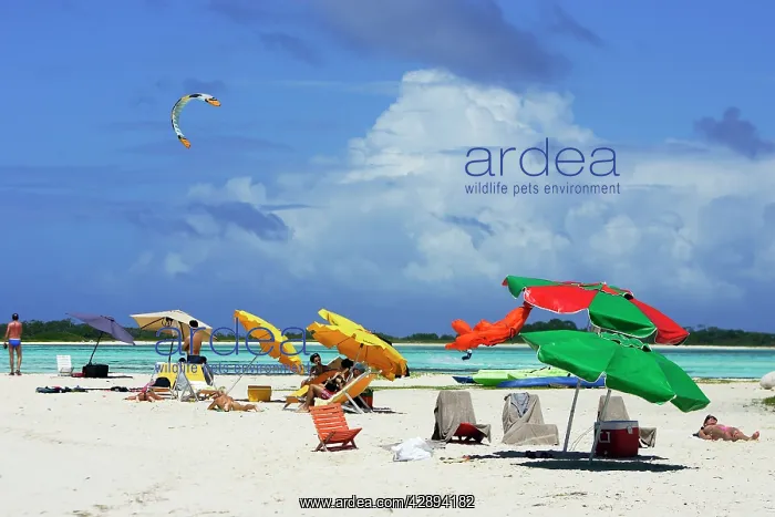  : Venezuela - beach at Los Roques