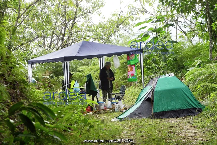 : Venezuela - campsite in rainforest : Venezuela - campsite in rainforest