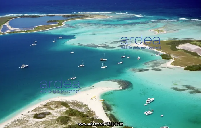 : VENEZUELA - Coral Atol, Archipelago of Los Roques : VENEZUELA - Coral Atol, Archipelago of Los Roques