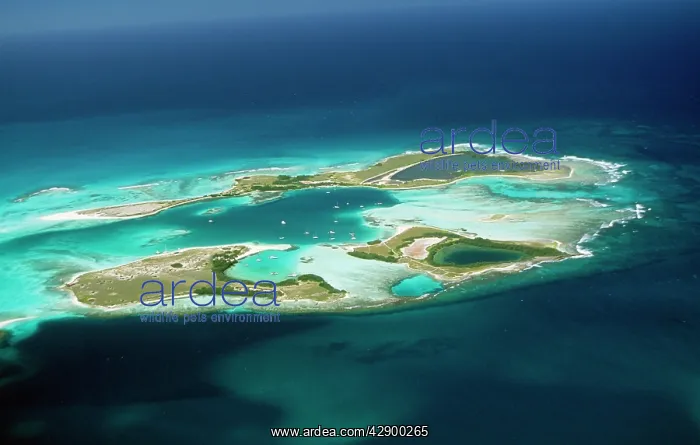 : VENEZUELA - Coral Atoll, Archipelago of Los Roques : VENEZUELA - Coral Atoll, Archipelago of Los Roques