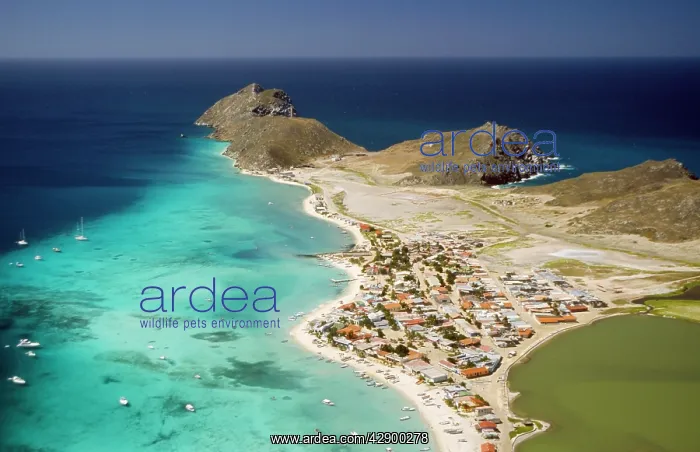 : VENEZUELA - Gran Roque, Archipelago of Los Roques : VENEZUELA - Gran Roque, Archipelago of Los Roques