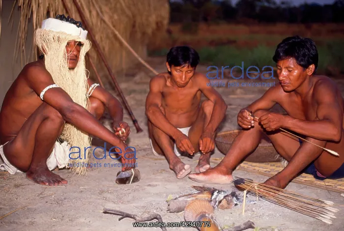 : Venezuela - indigenous people, medicine man in : Venezuela - indigenous people, medicine man in
