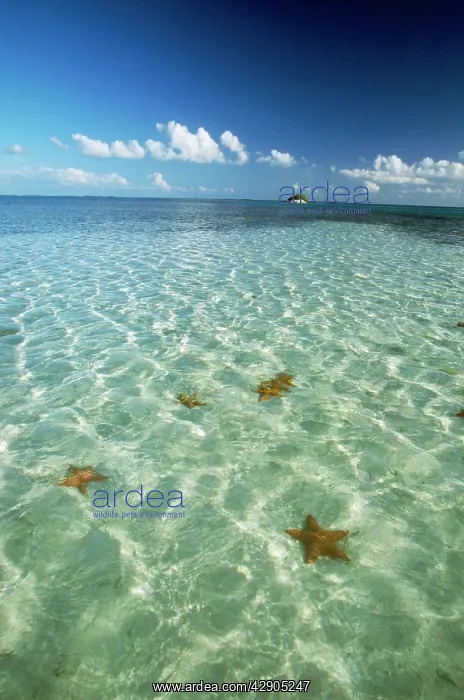: VENEZUELA - Los Roques : VENEZUELA - Los Roques