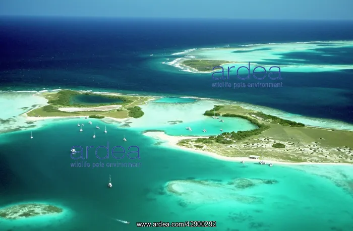  : VENEZUELA - Los Roques, Aerial view of Islands & Lagoons