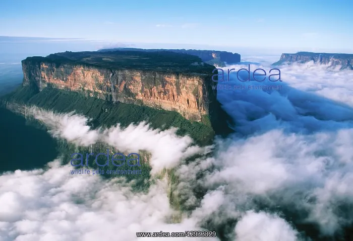 : VENEZUELA - Mount Roraima, viewed from the north : VENEZUELA - Mount Roraima, viewed from the north