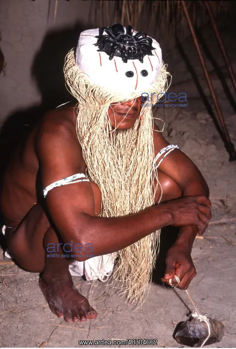 : VENEZUELA - Piaroa medicine man wearing tarantula hunt mask : VENEZUELA - Piaroa medicine man wearing tarantula hunt mask