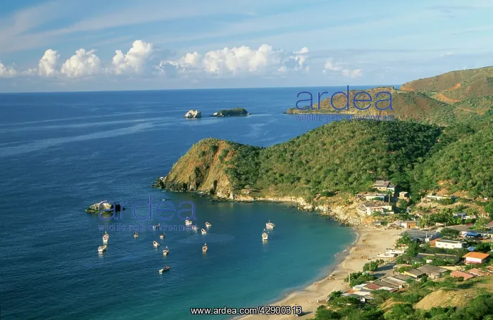 : VENEZUELA - Playa de Guayacan beach, North coast : VENEZUELA - Playa de Guayacan beach, North coast