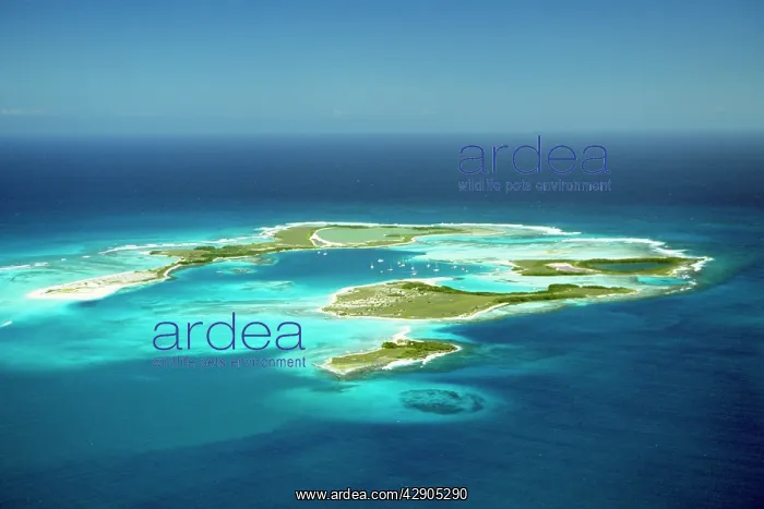 : VENEZUELA - Reefs, aerial view : VENEZUELA - Reefs, aerial view