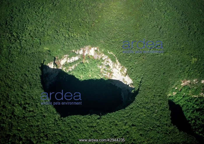 : Venezuela - Sarisarinama sink hole in rainforest : Venezuela - Sarisarinama sink hole in rainforest