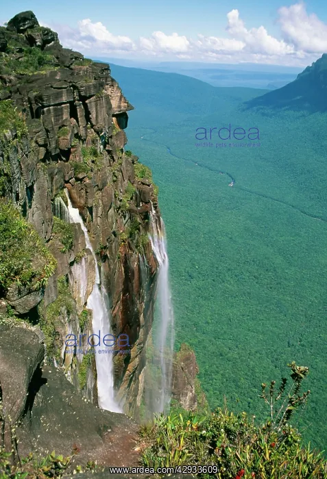 : Venezuela - Summit look out point : Venezuela - Summit look out point