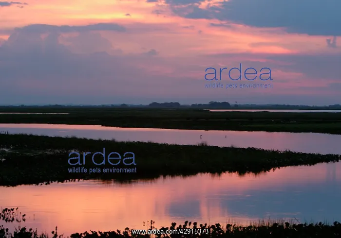 : Venezuela - sunset over the Llanos : Venezuela - sunset over the Llanos
