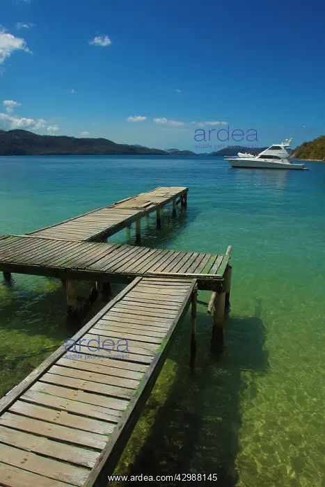 : Venezuela - wooden pontoon / jetty and boat on water : Venezuela - wooden pontoon / jetty and boat on water