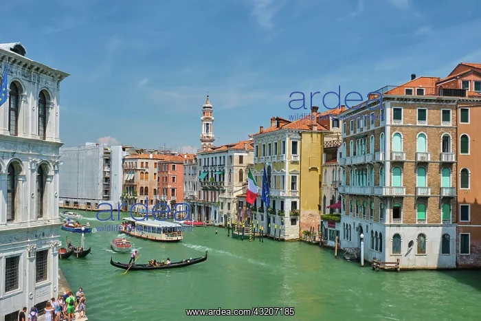 : VENICE, ITALY, JULY 19, 2019: Grand Canal with b : VENICE, ITALY, JULY 19, 2019: Grand Canal with b