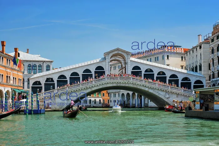 : VENICE, ITALY, JULY 19, 2019: Rialto bridge with : VENICE, ITALY, JULY 19, 2019: Rialto bridge with