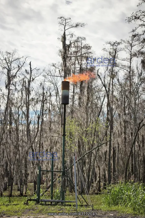 : Vent at Sinkhole Site : Vent at Sinkhole Site
