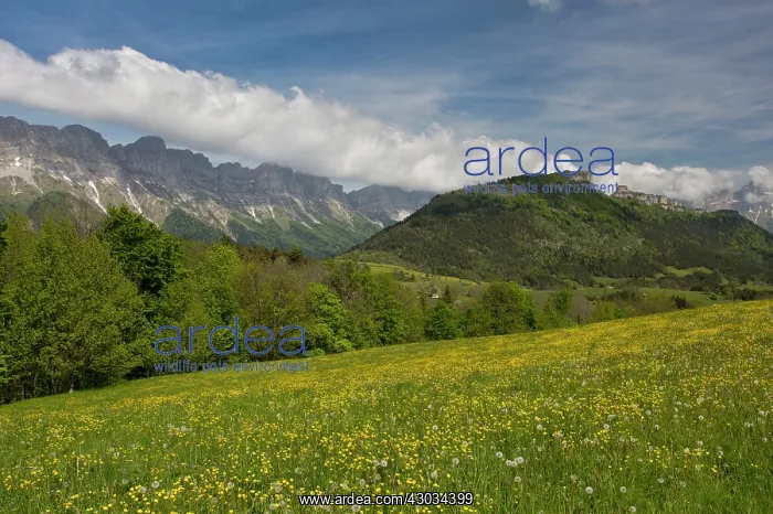 : Vercors Mountains eastern scarp of the limestone : Vercors Mountains eastern scarp of the limestone