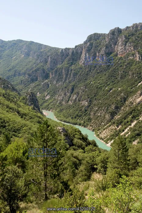 : Verdon river, Gorges du Verdon, Provence : Verdon river, Gorges du Verdon, Provence