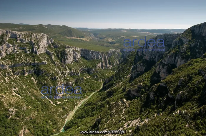 : Verdon river, Gorges du Verdon, Provence : Verdon river, Gorges du Verdon, Provence