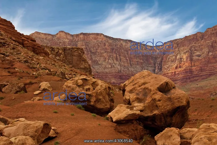 : Vermilion Cliffs : Vermilion Cliffs