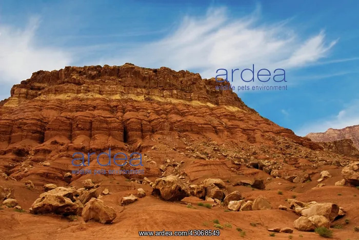 : Vermilion Cliffs : Vermilion Cliffs