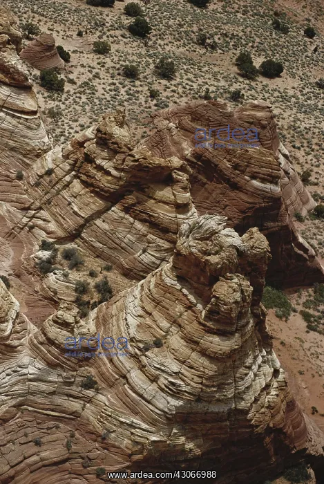 : Vermilion Cliffs, Arizona : Vermilion Cliffs, Arizona