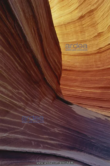 : Vermilion Cliffs, Arizona : Vermilion Cliffs, Arizona