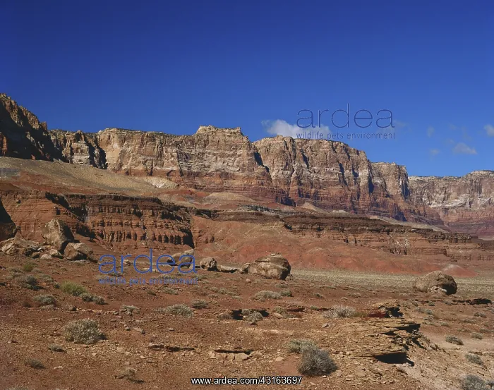 : Vermilion Cliffs, Arizona : Vermilion Cliffs, Arizona