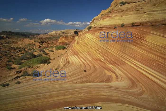 : Vermilion Cliffs, Arizona : Vermilion Cliffs, Arizona