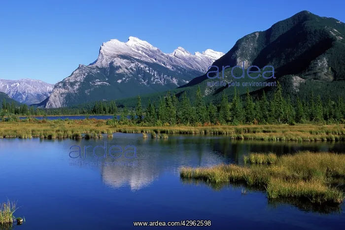 : Third Vermilion Lake : Third Vermilion Lake