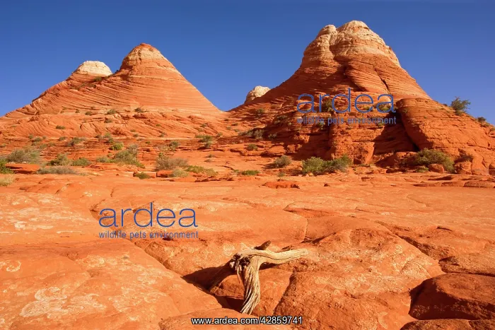 : Vermillion Cliffs - carved rock made of jurrasic-age : Vermillion Cliffs - carved rock made of jurrasic-age