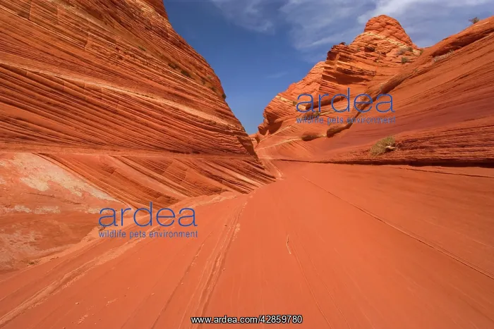 : Vermillion Cliffs - carved rock made of jurrasic-age : Vermillion Cliffs - carved rock made of jurrasic-age