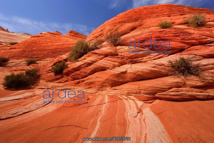 : Vermillion Cliffs - carved rock made of jurrasic-age : Vermillion Cliffs - carved rock made of jurrasic-age