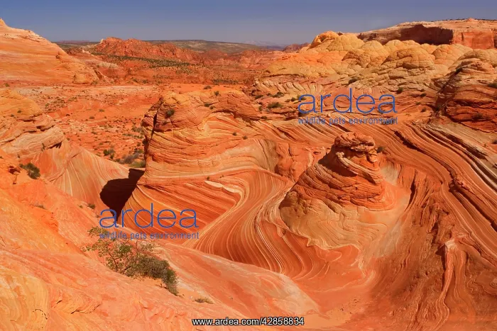 : Vermillion Cliffs - The Wave - carved rock made : Vermillion Cliffs - The Wave - carved rock made