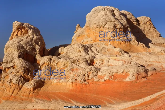 : Vermillion Cliffs - White Pocket - carved rock : Vermillion Cliffs - White Pocket - carved rock