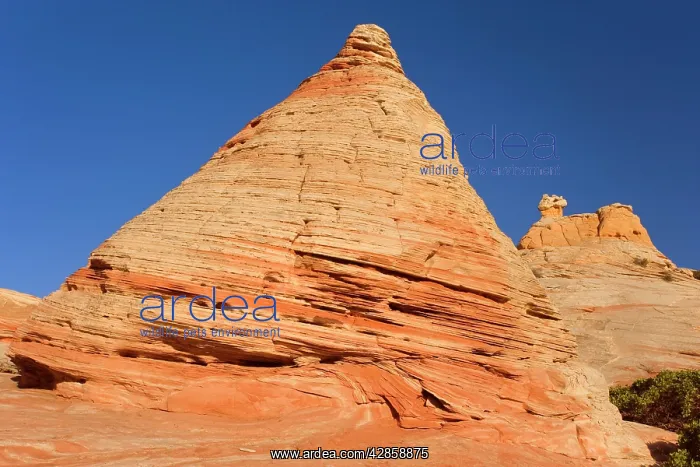 : Vermillion Cliffs - White Pocket - carved rock : Vermillion Cliffs - White Pocket - carved rock