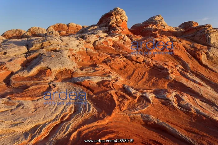 : Vermillion Cliffs - White Pocket - carved rock : Vermillion Cliffs - White Pocket - carved rock