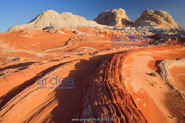 : Vermillion Cliffs - White Pocket - carved rock : Vermillion Cliffs - White Pocket - carved rock