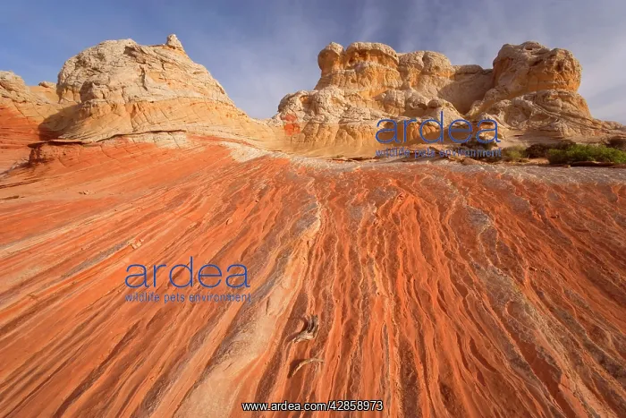 : Vermillion Cliffs - White Pocket - carved rock : Vermillion Cliffs - White Pocket - carved rock