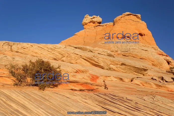  : Vermillion Cliffs - White Pocket Church - carved