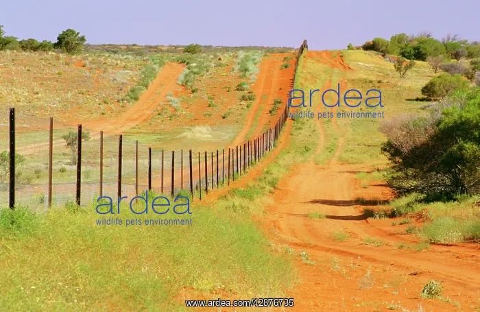 : Vermin-proof fence NSW / Qld border (Camerons Corner) : Vermin-proof fence NSW / Qld border (Camerons Corner)